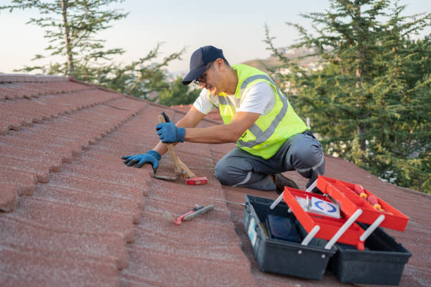 Best Roof Gutter Cleaning  in Racend, LA